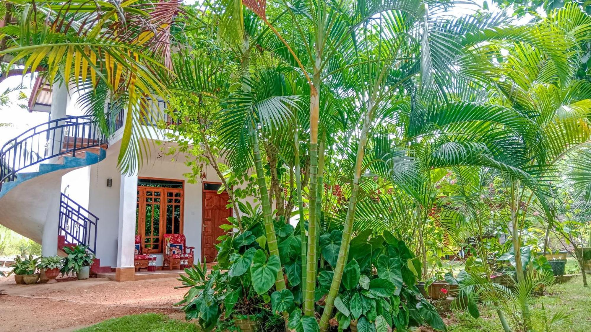 Gimhana Homestay Sigiriya Exterior photo