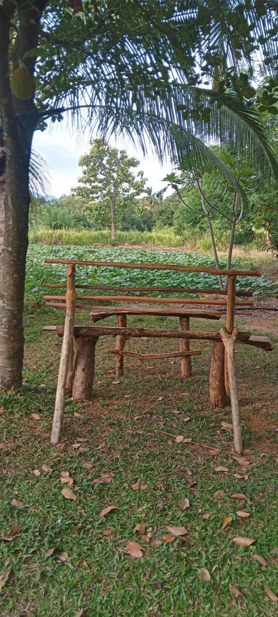 Gimhana Homestay Sigiriya Exterior photo